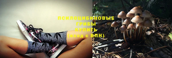 каннабис Абаза