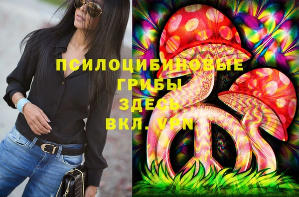 стаф Алексеевка