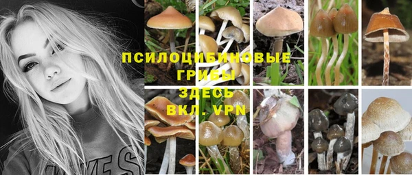 spice Абинск