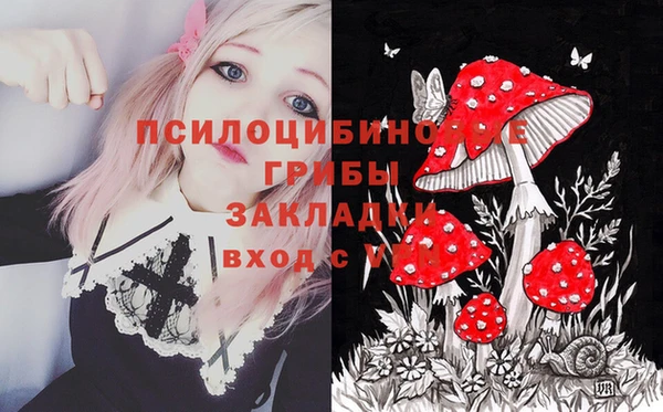 герыч Алексин